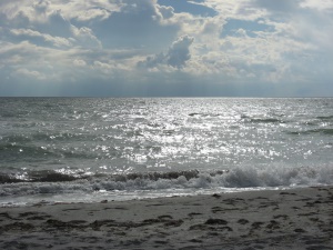 het strand van Sanibel Island | Sanibel Island